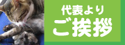 代表よりご挨拶